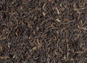 Darjeeling Himalaya