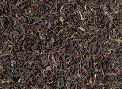 Darjeeling Himalaya